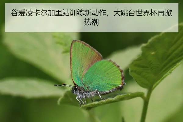 gu-ai-ling-ka-er-jia-li-zhan-xun-lian-xin-dong-zuo-da-tiao-tai-shi-jie-bei-zai-xian-re-chao-2-241.jpg